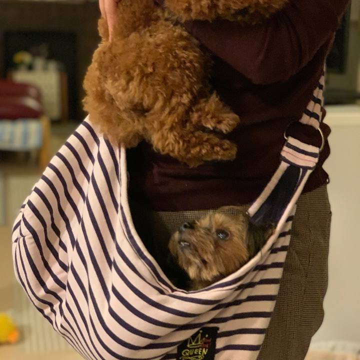 Df9eefc6 0209 4612 a5ab 295928ffdbe6 1639267957664