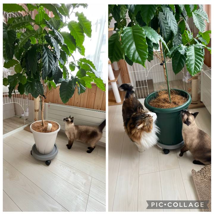 Df9f73ce a180 457e 8397 9cabec19ad3c 1758656020553