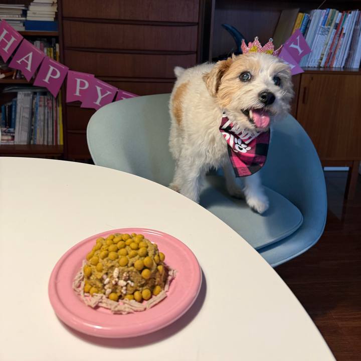 Df9f7f41 48a4 4177 a467 5d71a3e2d12d 1768035031781