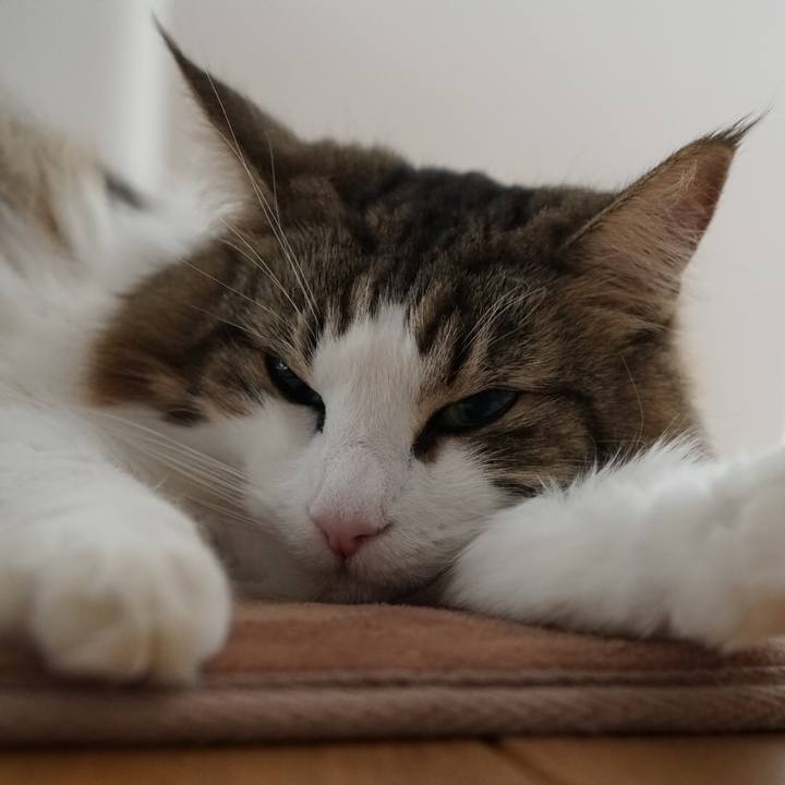 Df9f8a67 96d9 471b b7e8 ea5c963b80d5 1576545949979