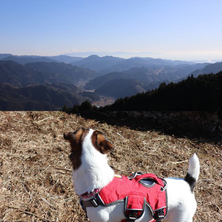 Df9fde18 71db 4413 9078 2b926415e5c5 1515222031356