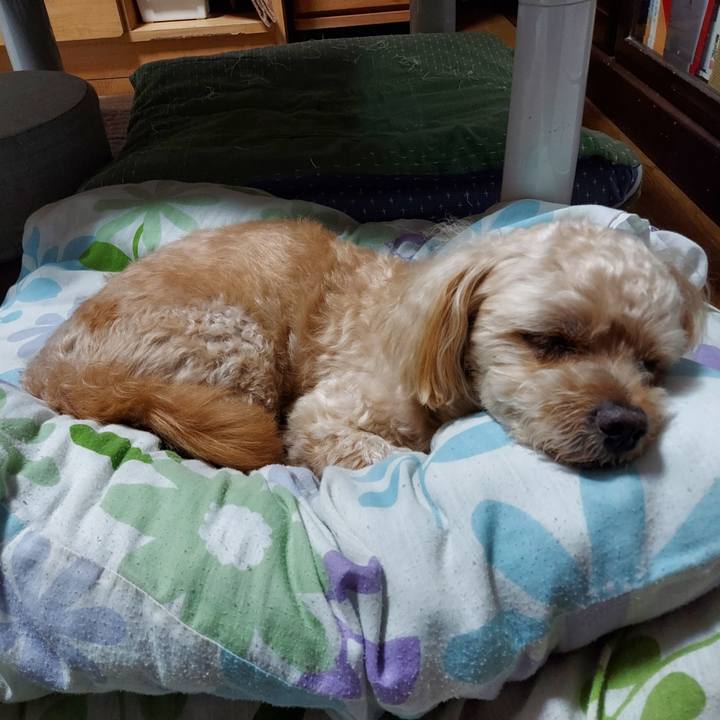 Dfa034af 4070 46d0 aeb3 2493e617fa45 1721895458459