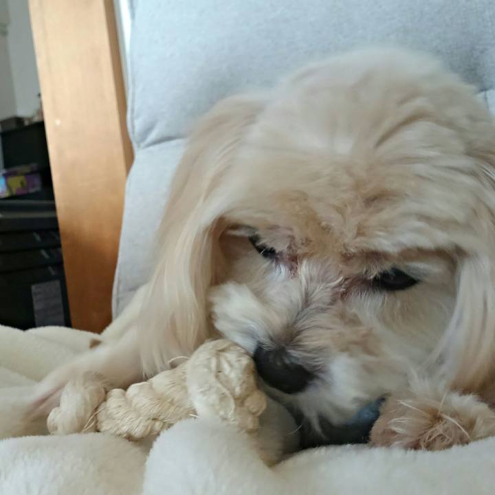 Dfa04b54 a503 4813 b585 1c4bbdb7a3c0 1511065835776