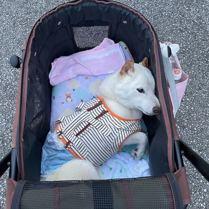 Dfa06872 5aa7 4d26 b7a0 d8203bfc9b96 1659704122169