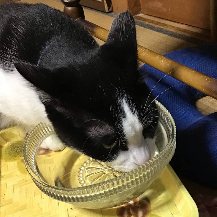 Dfa08732 17bd 479c 9884 433fde1fbc9c 1730970404191