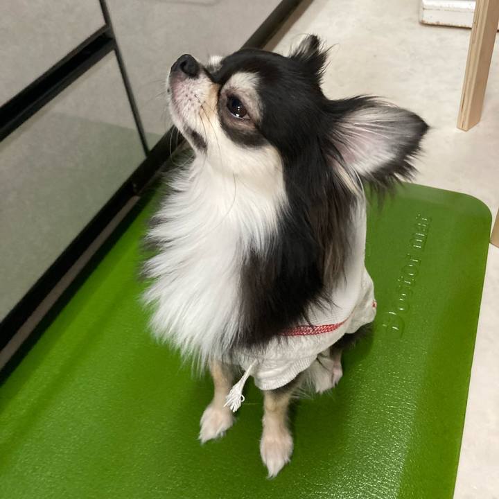 Dfa08e00 cc61 40ef 9fec d474618c0d1a 1644759777868