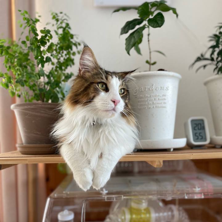 Dfa0c505 1a80 4bd3 831b e12e2a4b384e 1653602726706