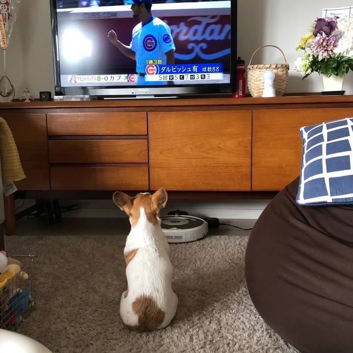 Dfa0f96e 8fb1 49b9 bfa1 47fff0a1a43f 1556465166694