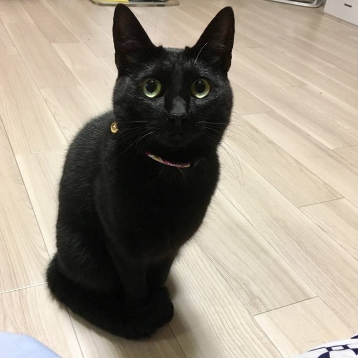 Dfa1140f 3525 4b64 b3f4 045b260c6007 1508329408934