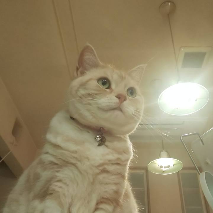 Dfa134df 4ff0 464e 8cef a430baf4aca2 1554887910013