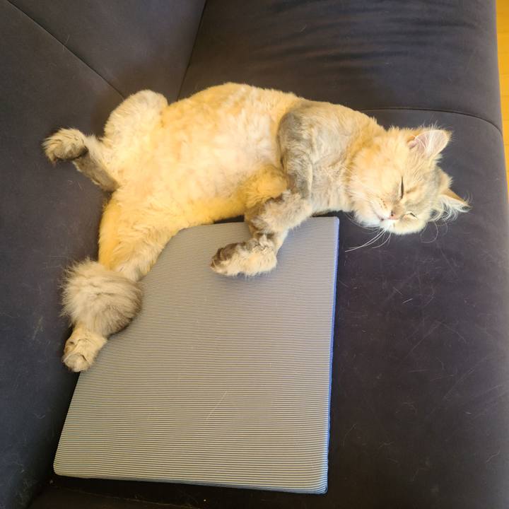 Dfa13628 6c9e 41d6 b6ec 9e9bb5f079e4 1721628627091