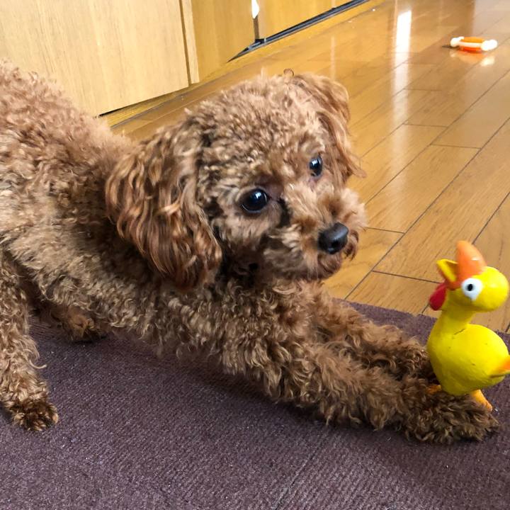 Dfa1630f ff50 42d5 b772 ddb90eda4ce6 1515019178563