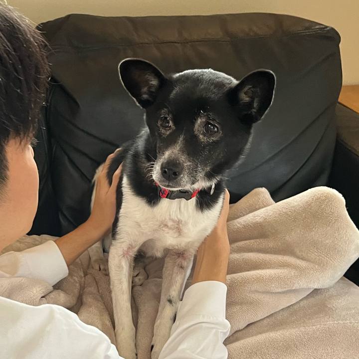 Dfa174c6 e681 445d b1fd ba7016e1e6db 1711885131589