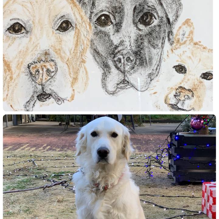 Dfa19d1e 6ca3 4e2b 9b7f 4e5d41142d88 1672105419785