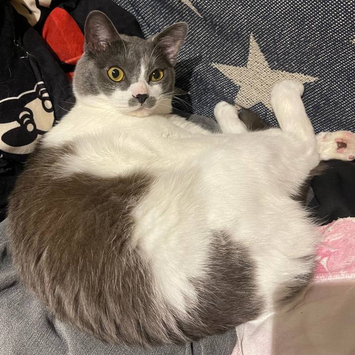 Dfa1a043 2482 497f a1b9 beecec1a467e 1650625493699