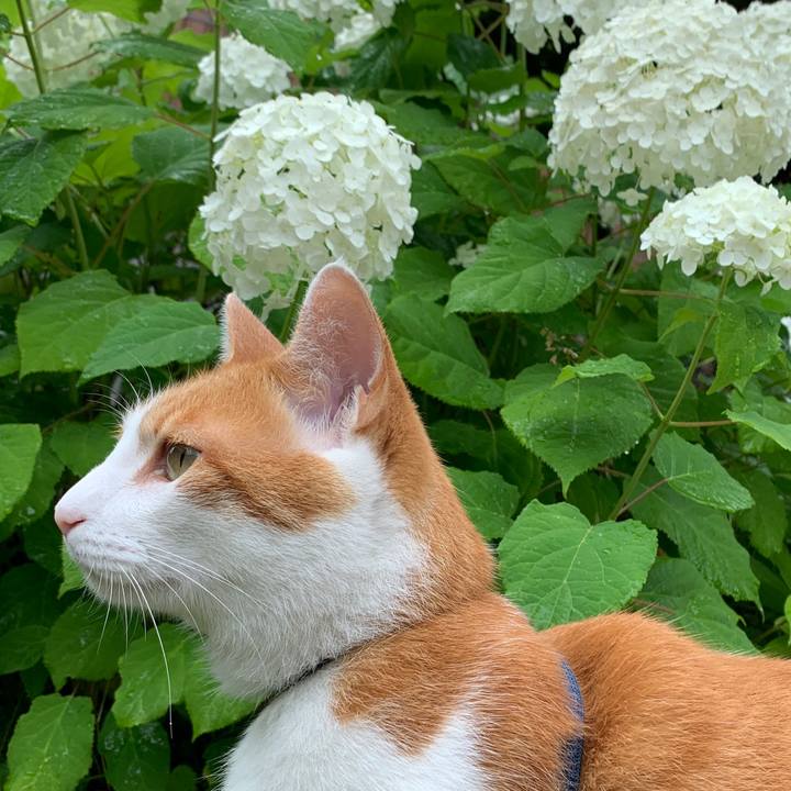 Dfa1af4c 4394 4af5 9038 065a51c2ff62 1594108782738