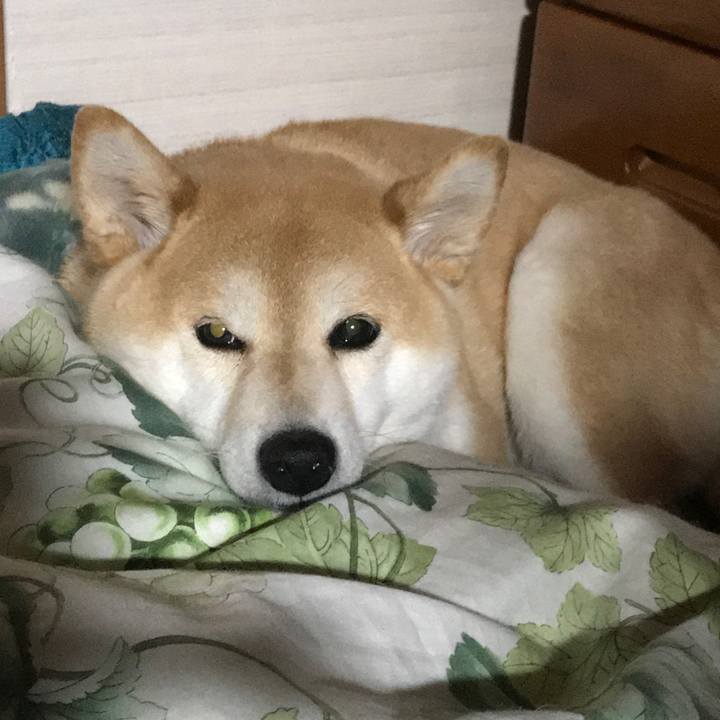 Dfa1dc73 38a9 4298 b184 07c01405ae18 1551193877031