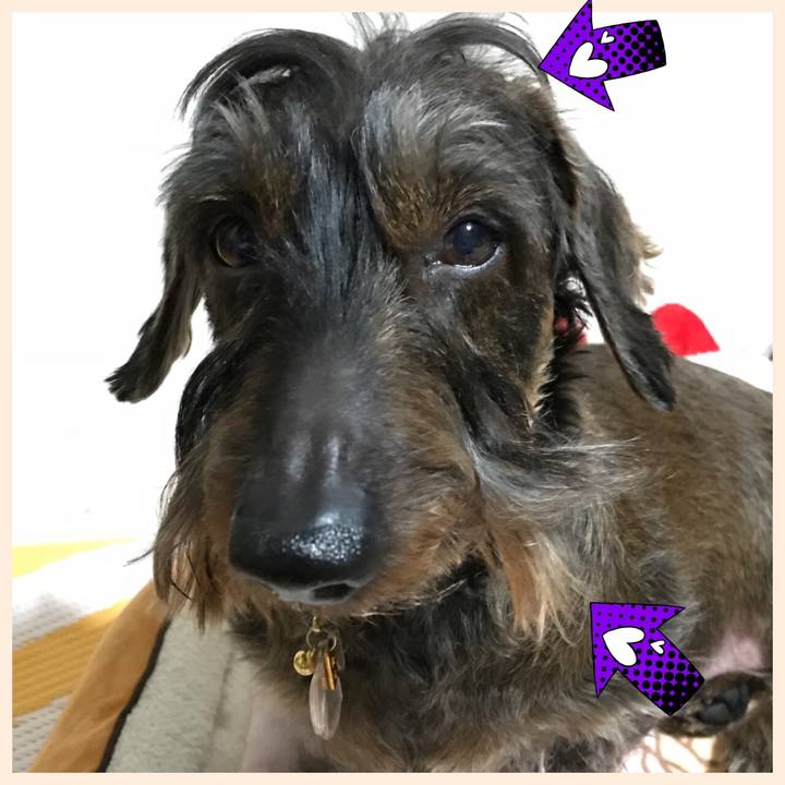 Dfa227e3 74e8 4b5f 80cb ec0f37daba9c 1517766533793