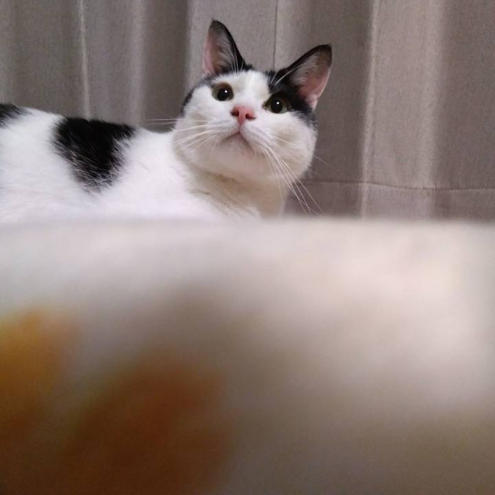 Dfa245cc e2db 48cc adf6 2ca69b24c3b2 1528468578067