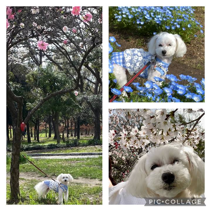 Dfa250e9 3858 4f93 bb6a fe5b51ee10e3 1648640548479