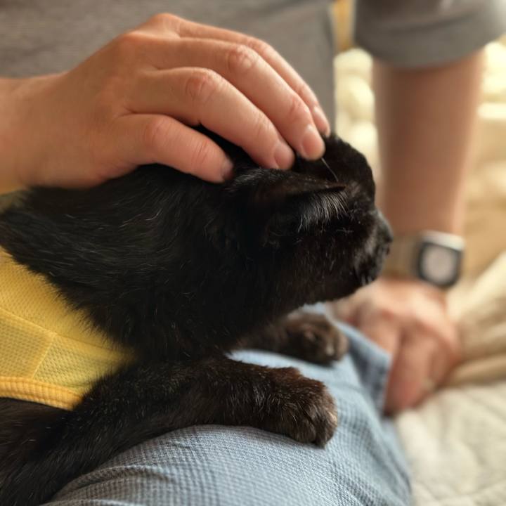 Dfa277d8 a75b 43a6 b55c 6d8f95559318 1717810760078