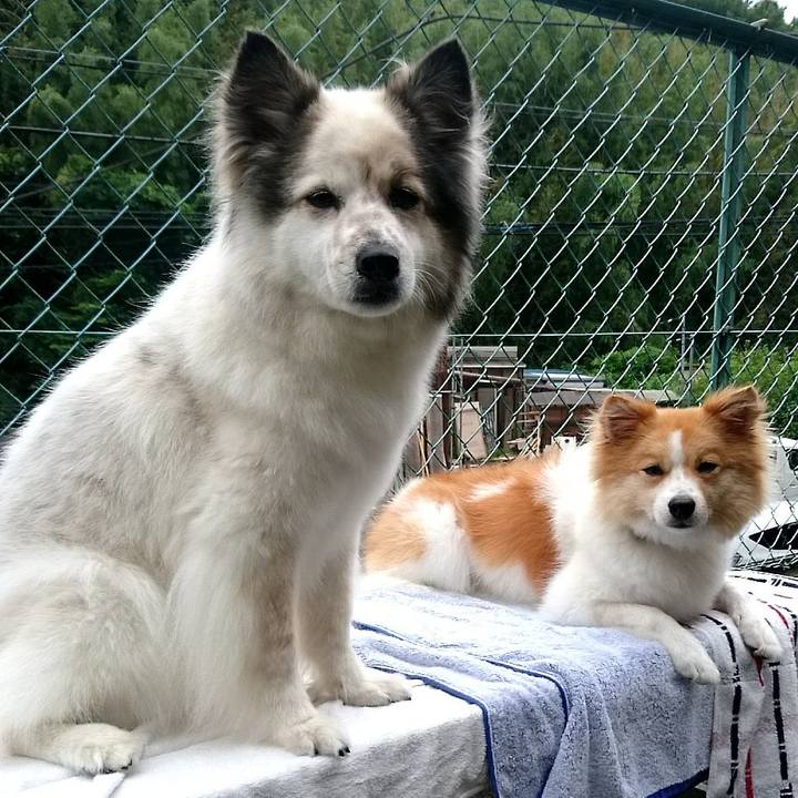 Dfa27dd7 0780 43ea 886a f705995066ad 1563360001009