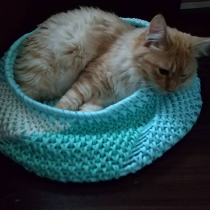 Dfa28a1d f900 4369 86c8 7f98c705a2c2 1625093375191