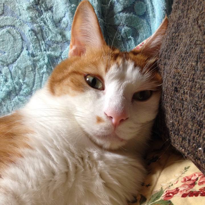 Dfa2a3bc 351e 442f 8ca0 eb12fc564e0f 1508016362713