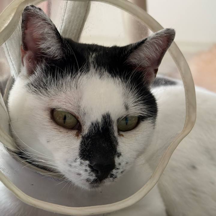 Dfa2af5e 3c5e 4768 8b10 21777f385644 1772692484267