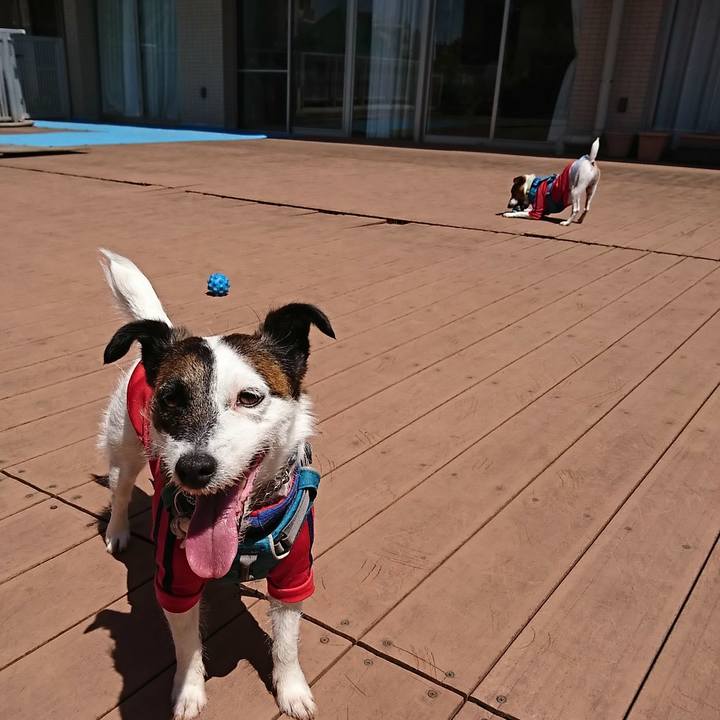 Dfa2b0cd 3ea5 4498 83b2 308e0be1f6c9 1588836306509