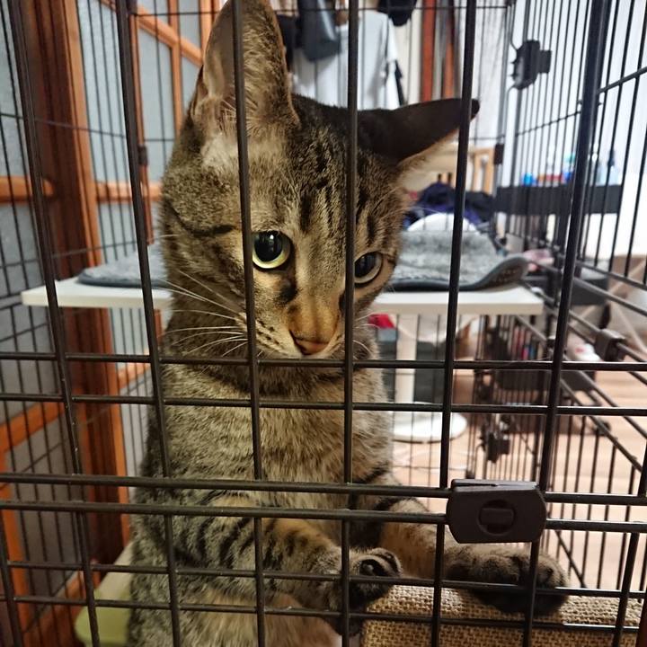 Dfa2c8ca 938a 4734 af84 f10b59a4a371 1561718584720