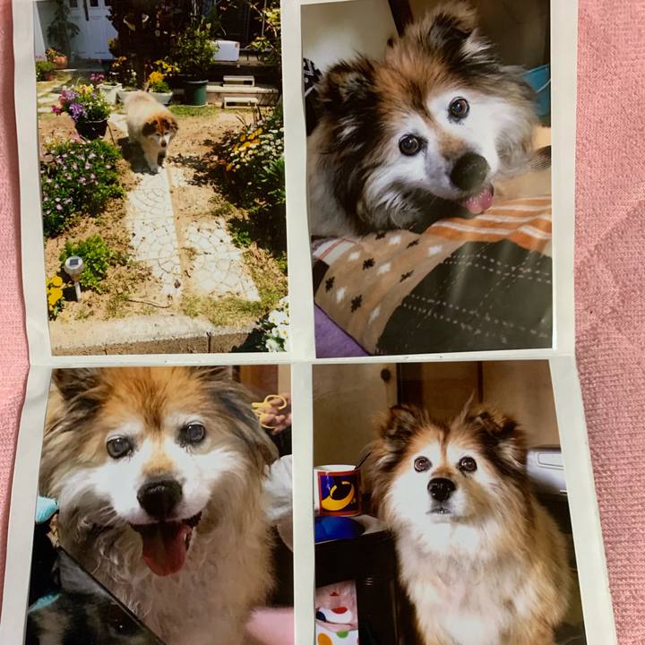 Dfa2d65f 356e 451c 875b 77b4f65f4b58 1561794326800