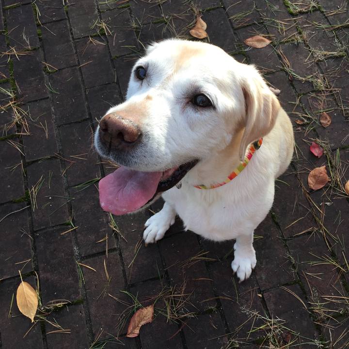 Dfa2e840 4582 48c5 9228 cd03fb7e7f23 1627392928206