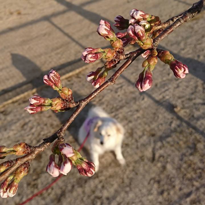 Dfa33ccb b59e 4598 8e99 d60da5fb7280 1522446603778