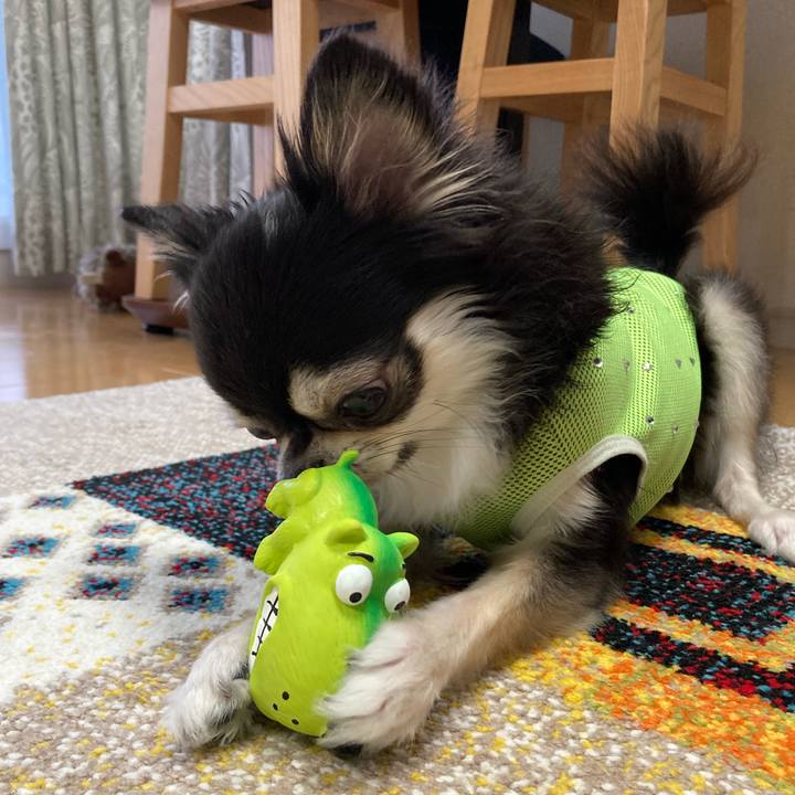 Dfa35371 2459 481b b0b7 1f622eacc5d4 1694272230800