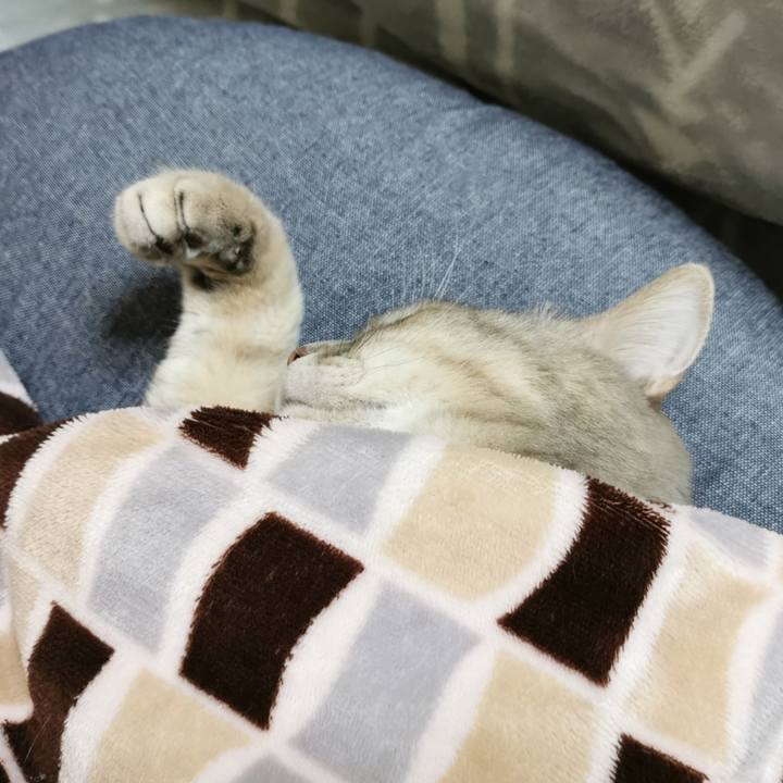 Dfa38a88 73e6 4266 9bef a4f8c601ea6a 1670736159814