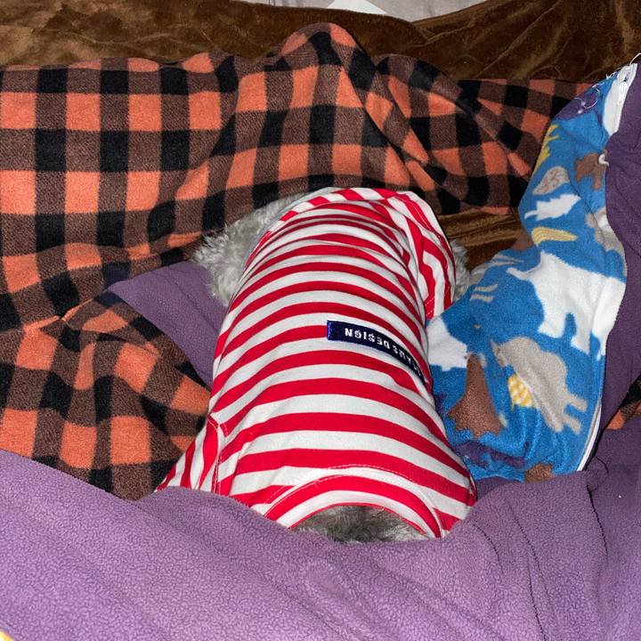 Dfa3b908 7bb1 47ac ad27 95ac9b258eb0 1608830291263