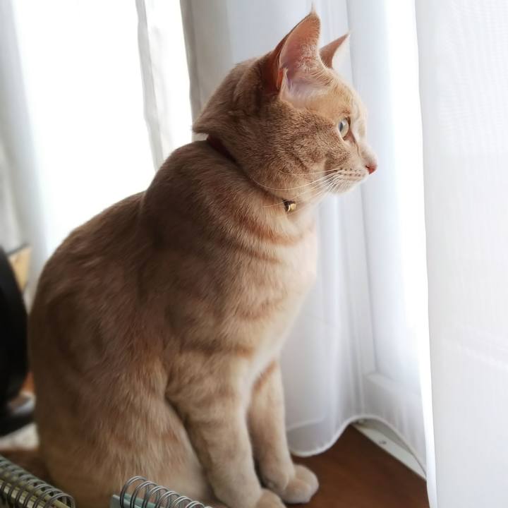 Dfa3dfd4 c858 4445 9bea 76cf58cd556d 1573423356103