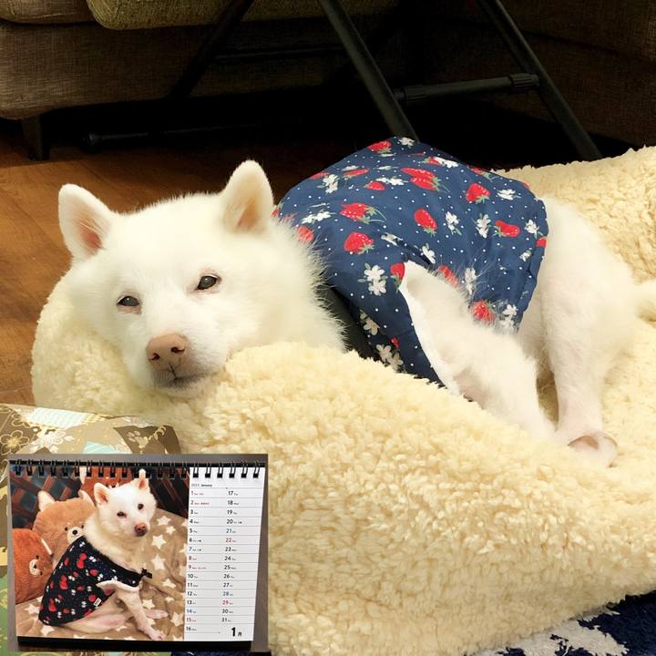 Dfa3f8bb f296 415a a290 a00718ed8dac 1672566217364