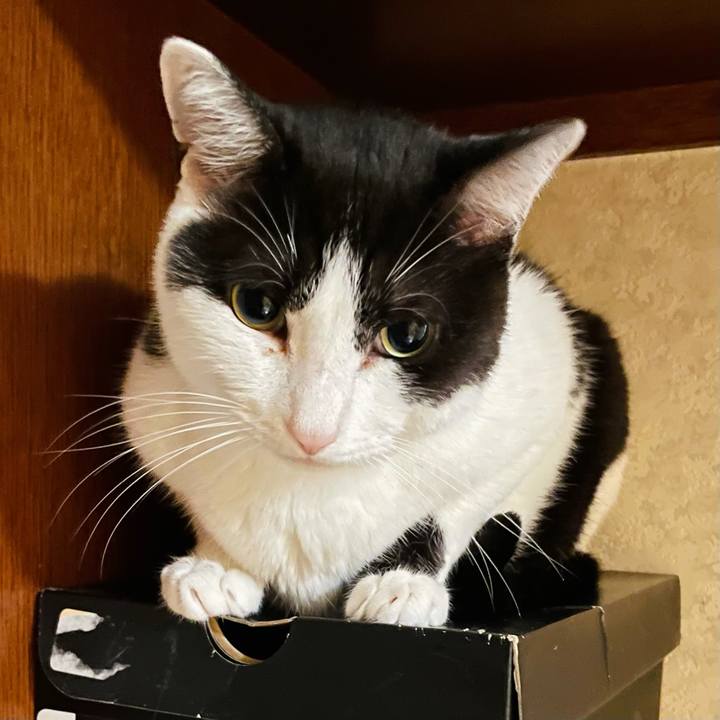 Dfa40466 e92d 4087 b7ae 58cc9df8a60e 1628645270331