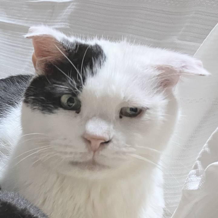 Dfa42b83 552c 4ce7 b662 d97eb1c11574 1773878881837