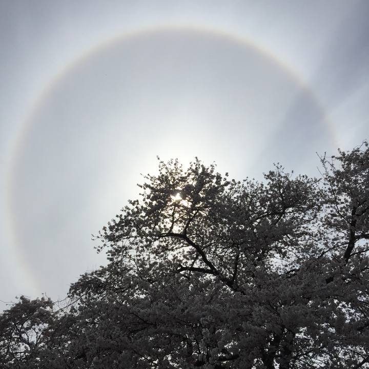 Dfa494c2 336e 4cdf 97f2 f46b44c327ab 1586239282211