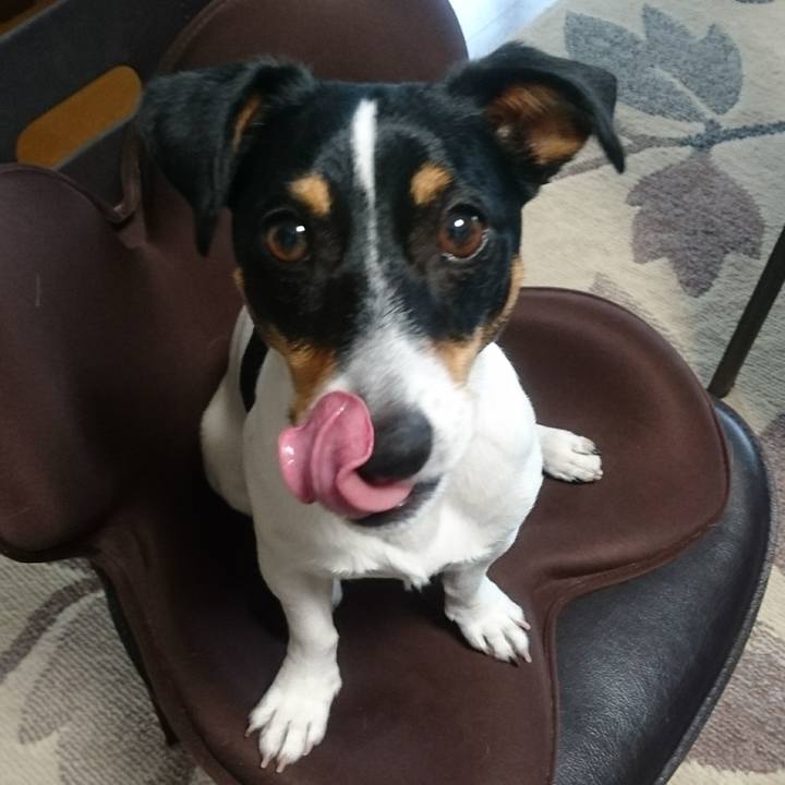 Dfa4da0f f740 4d80 b320 966e87ca5a88 1558150769860