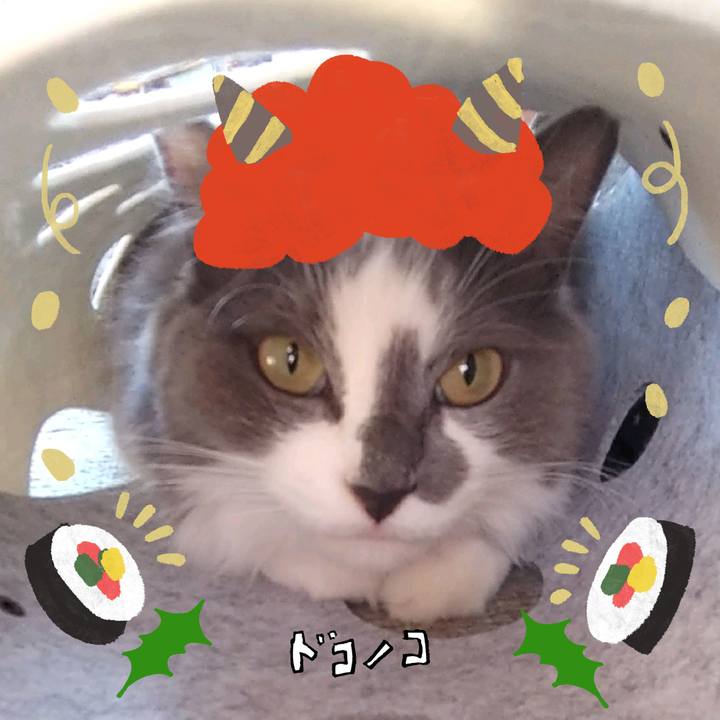 Dfa4e1fb 5572 4986 9e02 130b6199c4c6 1706773752149