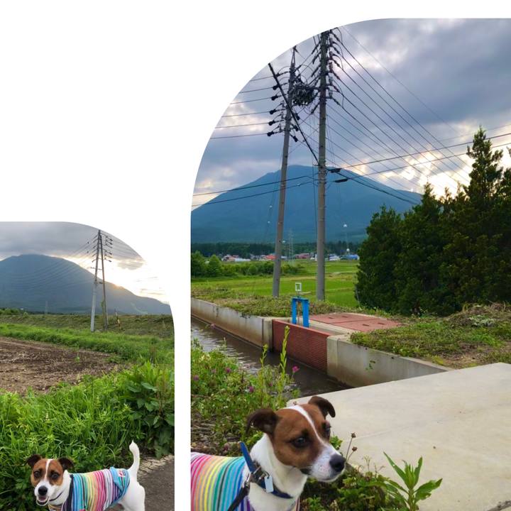 Dfa4f3f4 863a 4220 8354 38c889fa78e2 1592735393740