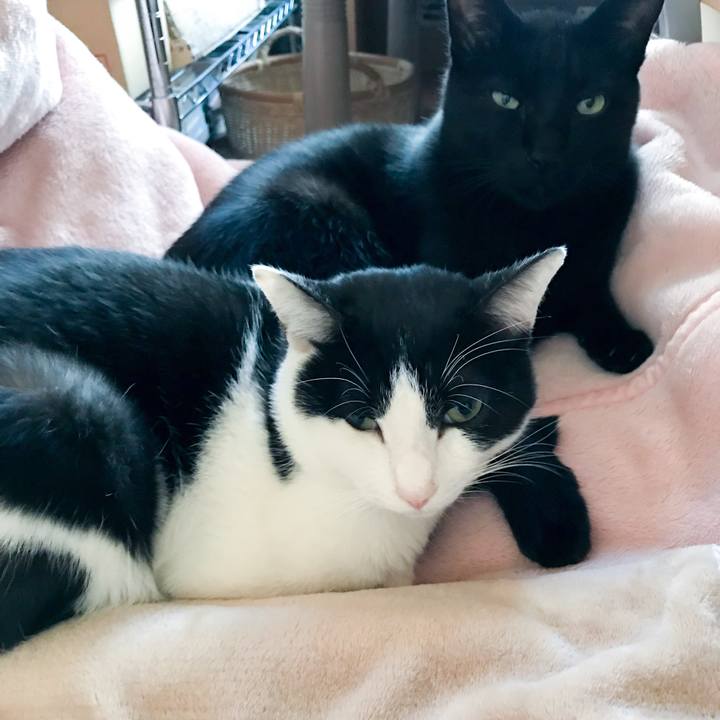 Dfa4fcad ed3c 4f80 9ddf 655c60d02393 1510995252099