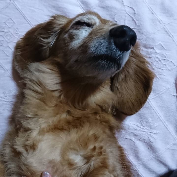 Dfa51f24 65d0 440e 93c1 bccac74a0236 1585414766139