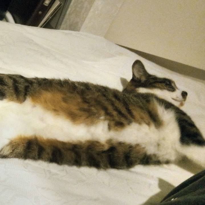 Dfa527b1 2dc6 4964 adb2 d6d2c5bd95c1 1774356650859