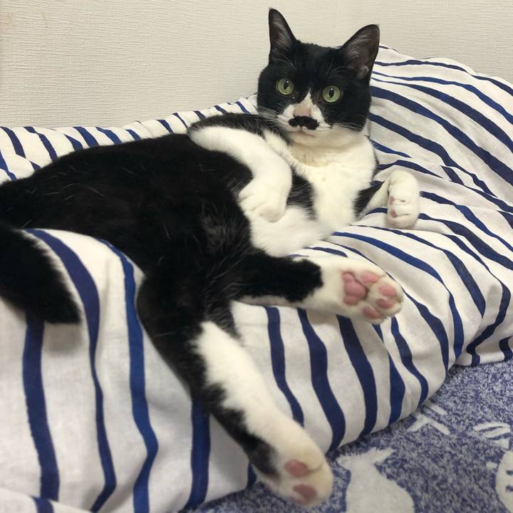 Dfa571b3 693e 4176 9e2b 50880464ece2 1623938105327