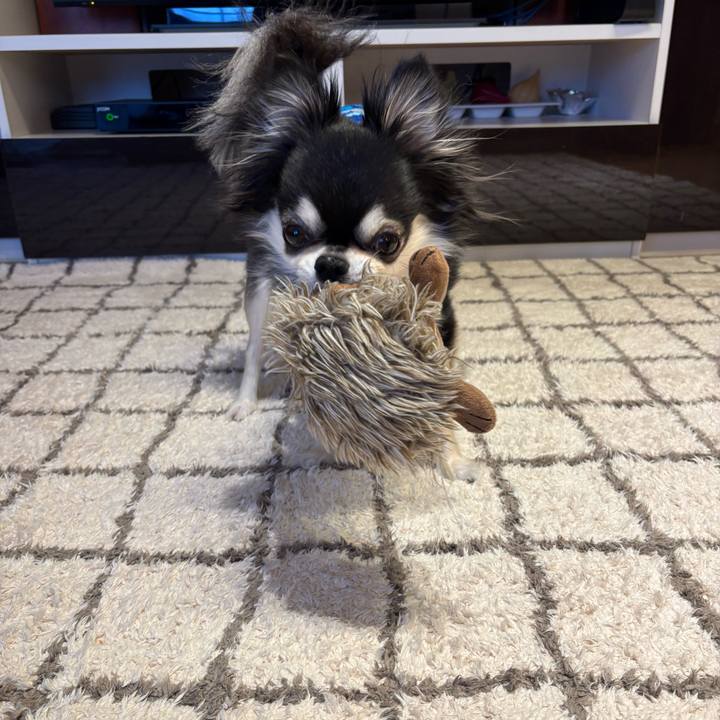 Dfa5727f 2f70 4e79 a89a a899bcf1df7f 1742487224321